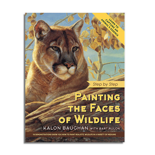 Publications — Kalon Baughan Publications — Kalon Baughan